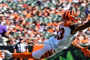 091017 bengals 38