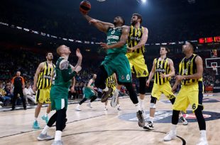 fenerbahce dogus zalgiris kaunas canli 11509213