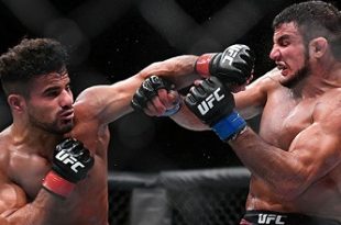 nad narimani khalid taha ufc fight night 134 3