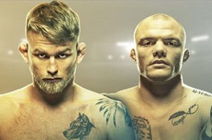 UFC Fight Night 153